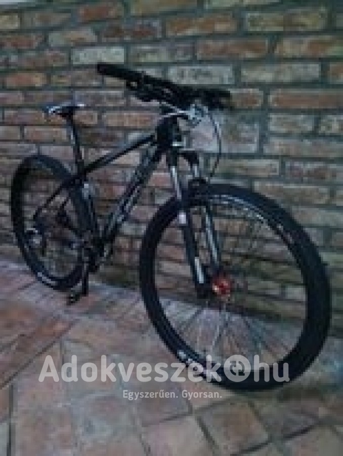 Dema Auron LTD  kerékpár