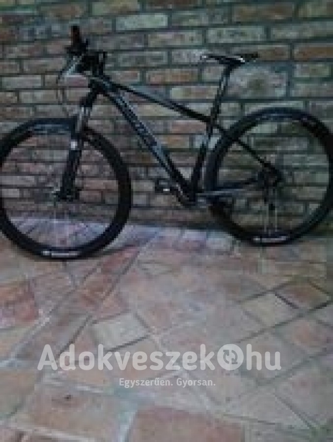 Dema Auron LTD  kerékpár