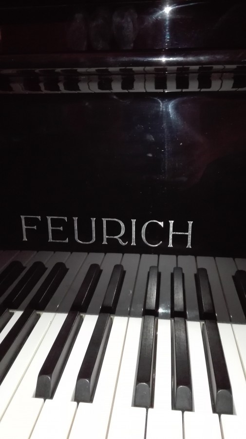 Zongora Feurich 161 