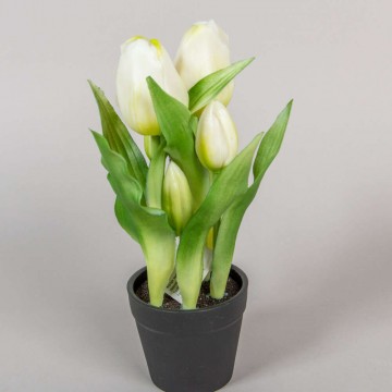 Prémium minőségű gumi tulipán-fehér -VÁLASZTHATÓ FELIRATTAL