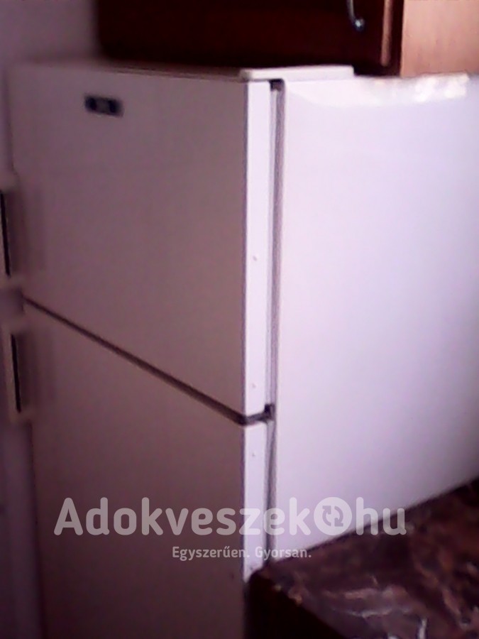 Zanussi hűtő 