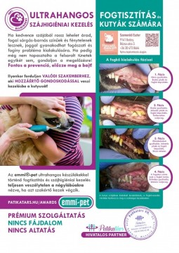 Ultrahangos fogkő-eltávolítás kutyák részére ALTATÁS NÉLKÜL