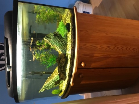 Eladó akvárium (75l) + sarok szekrény
