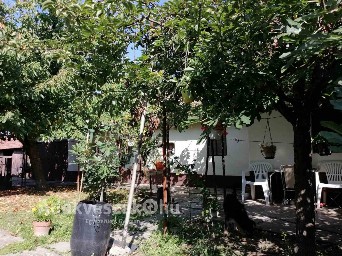 Sarkadon kertes családi ház eladó