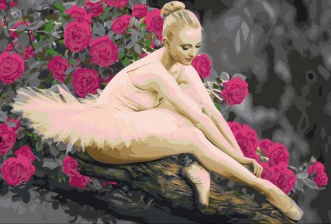 Balerina Virágok Között - számfestő készlet