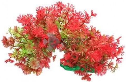 Hajlítható szárú piros ambulia műnövény (15 cm)