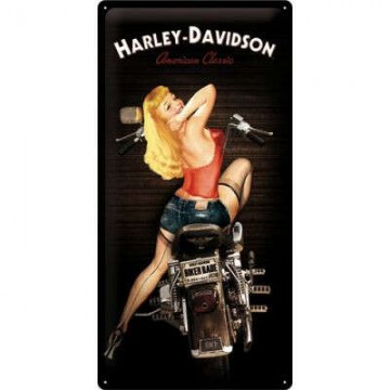 Harley Davidson Mit Pinup Fémtábla