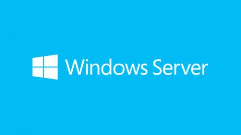 Microsoft Windows Server CAL 2019 Client Access License (CAL) 5 l...