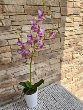 Orchidea Művirág 1 szálas kaspóban - rózsaszín
