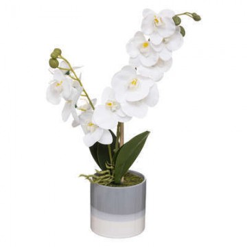 Orchidea szürke-fehér kaspóban 45cm