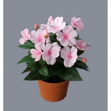Mű ibolya virágtartóban, rózsaszín, 24 cm