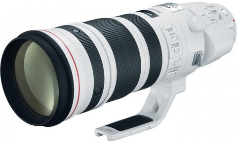 Canon EF 200-400mm f/4L IS USM (AC5176B005AA)