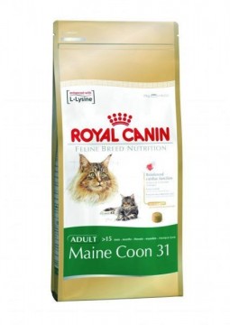 Royal Canin FBN Maine Coon 31 2 kg