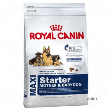 Royal Canin Maxi Starter Mother & Babydog 2x15 kg